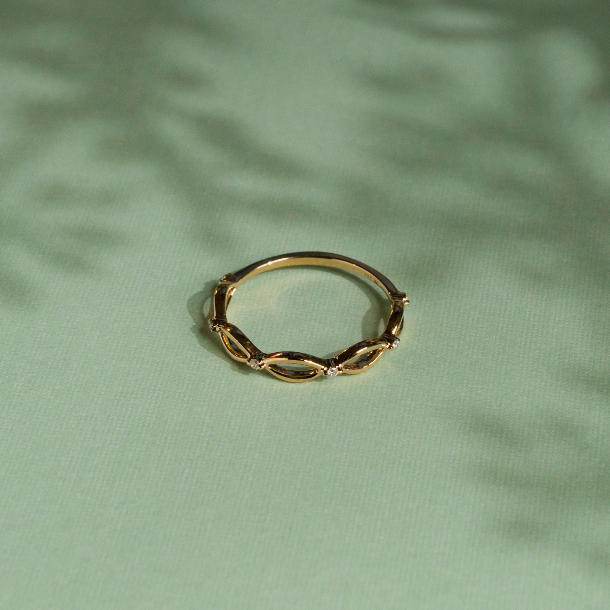 The Frances Diamond Forever Band