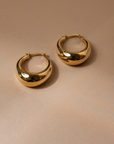 Golden Glow Hinged Hoop Earrings