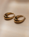 Golden Glow Hinged Hoop Earrings